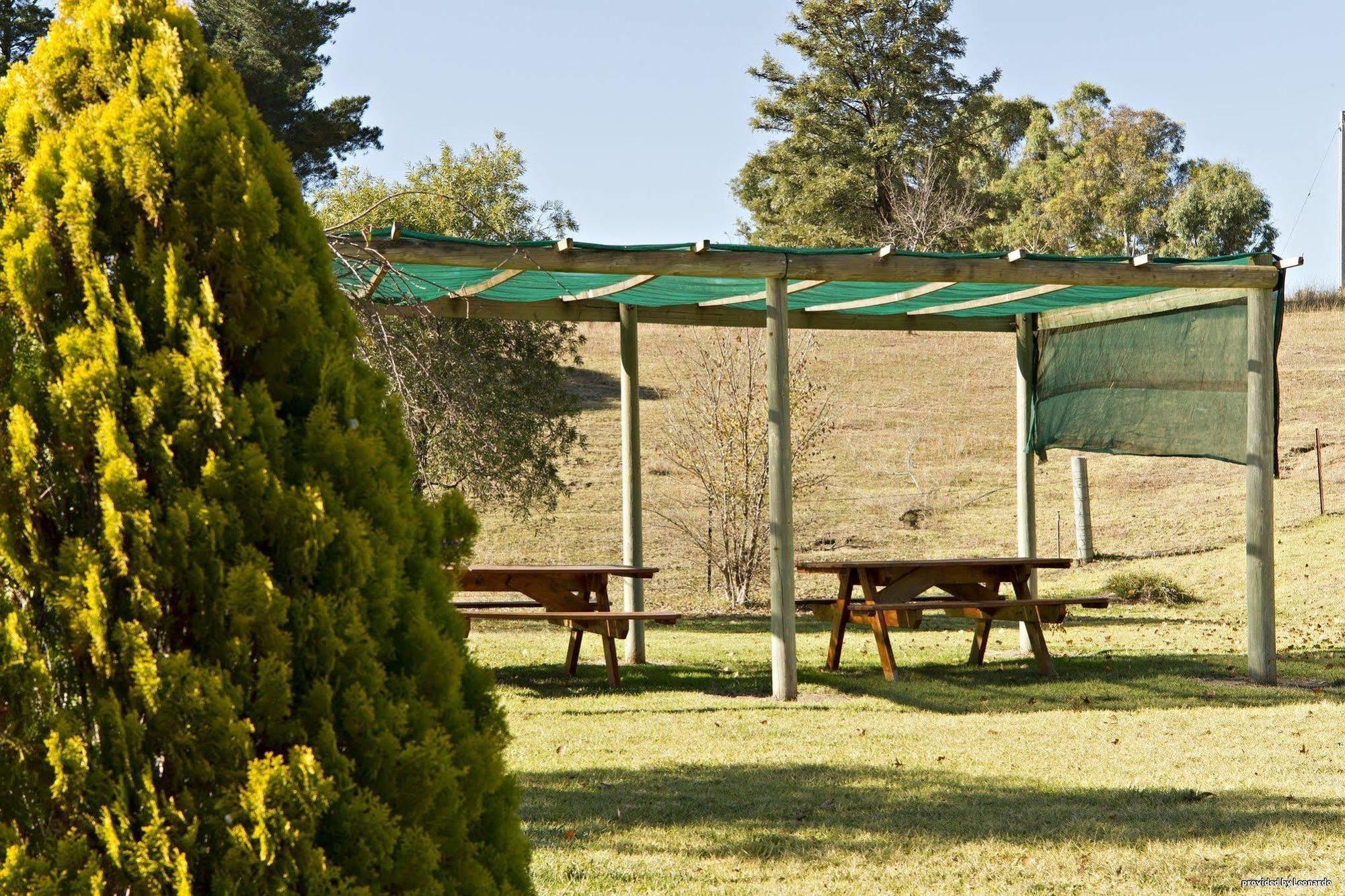 Hilltops Retreat Motor Inn Young Restaurant photo